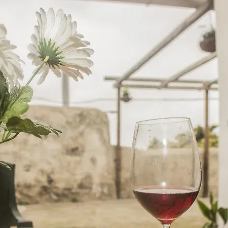 Holiday El Amparo Apartamento Icod De Los Vinos